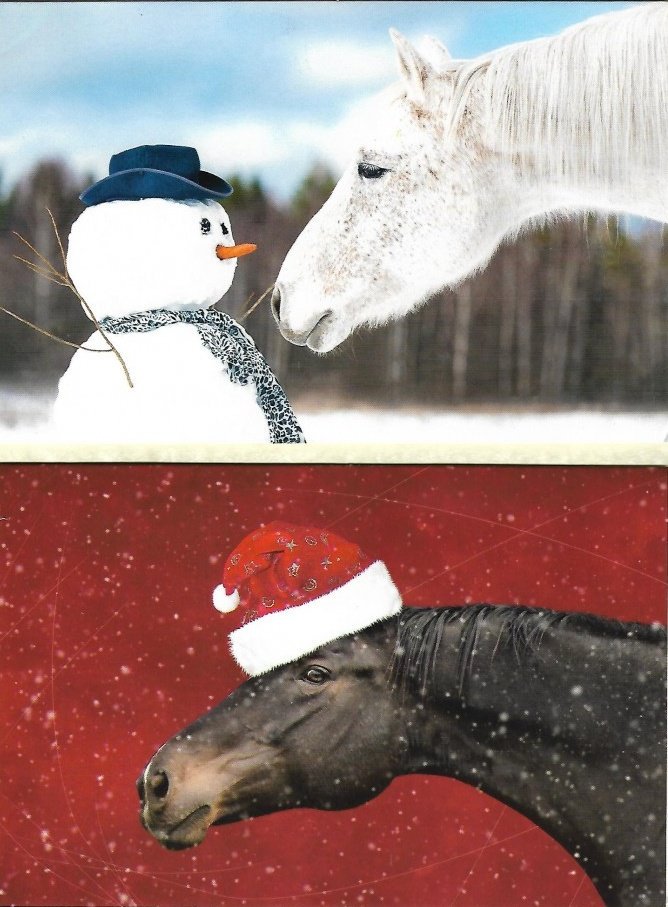 We now have packs of beautiful notelets &amp; Christmas cards for sale with all proceeds going to <a href="/RDAIreland/">RDAI</a>! 🐎 #horses #Fethard #horsecountry