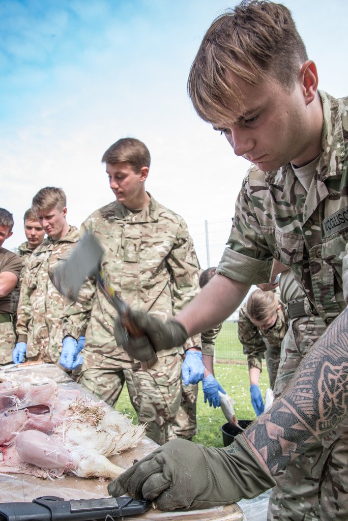 EES_SFP's tweet photo. #survivalfitnessplan #escapevasionandsurvival https://t.co/C0FuRegjLl
