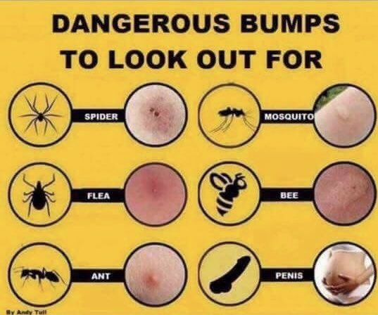 fearlessduckey's tweet photo. It is that time of year where you just need the first and last warning ���🏼 https://t.co/mM2qFSZxqs