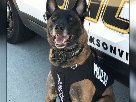 TimeKeeperBank's tweet photo. Ace the K9 gets body armor thanks to donation. #PDK9 #CaliforniaPD
https://t.co/MDO8VXwgTo https://t.co/tN4qMQNK1P