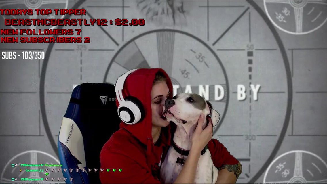 DD_Amy_Mylie's tweet photo. I swear we don't just tune in or tip just for the #PupperMissions lol!! Love the stream! #8Bitamazon on @Twitch @jessamynduke #IsisPuppy https://t.co/5NhqEOW9tF