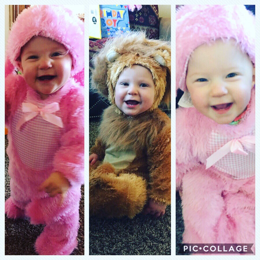 meldray's tweet photo. @FallonTonight Happy Halloween from the Maxwell Triplets 🐰🐰🦁 https://t.co/LIqoaLOObr