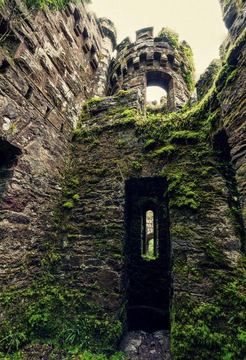 Aldair Rol | Cerrado | tweet media