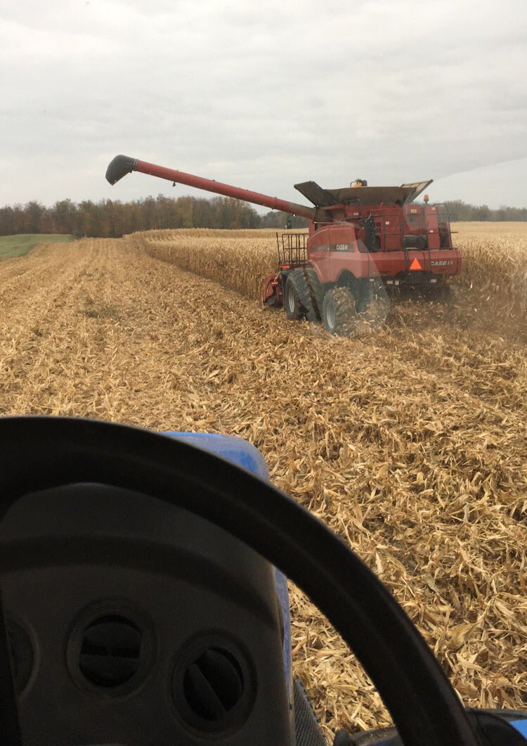 KurtisGodts's tweet photo. Starting of corn harvest 2017🌽 #farm365 https://t.co/tzc6vbOMHZ