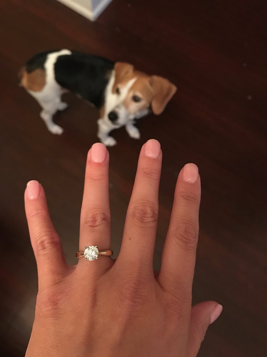 Shannon_Houser's tweet photo. It’s not official until it’s on social media. This engagement moment is brought to you by my dog, Samoa. 🐶💕💍 https://t.co/ZOH04gVpFg