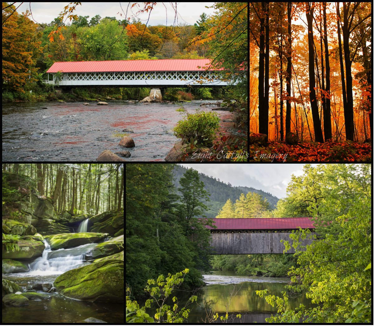 Thursday Nov. 2 at Kathryn's Florist, Main St., Winchester NH. 6-8 pm.  My Art Show and Shop. #shoplocal #monadnock #photography #artist