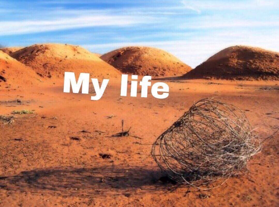 CauseWereGuys's tweet photo. Pretty much https://t.co/ZOfWFGToxB
