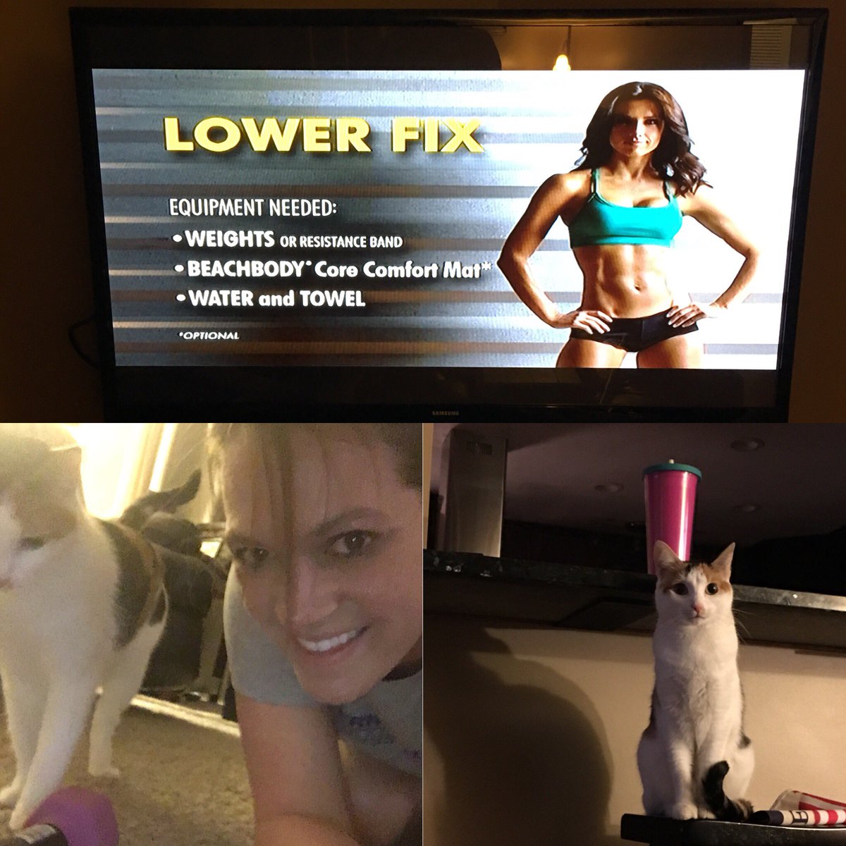 CoachKRich04's tweet photo. Day 2 soreness was real so wasnβt sure how #LowerFix would go...but survived! #21DayFix #SumoSquats #QuadRaises #LetsGo #CatEncouragement π» https://t.co/86tKqMLIGH
