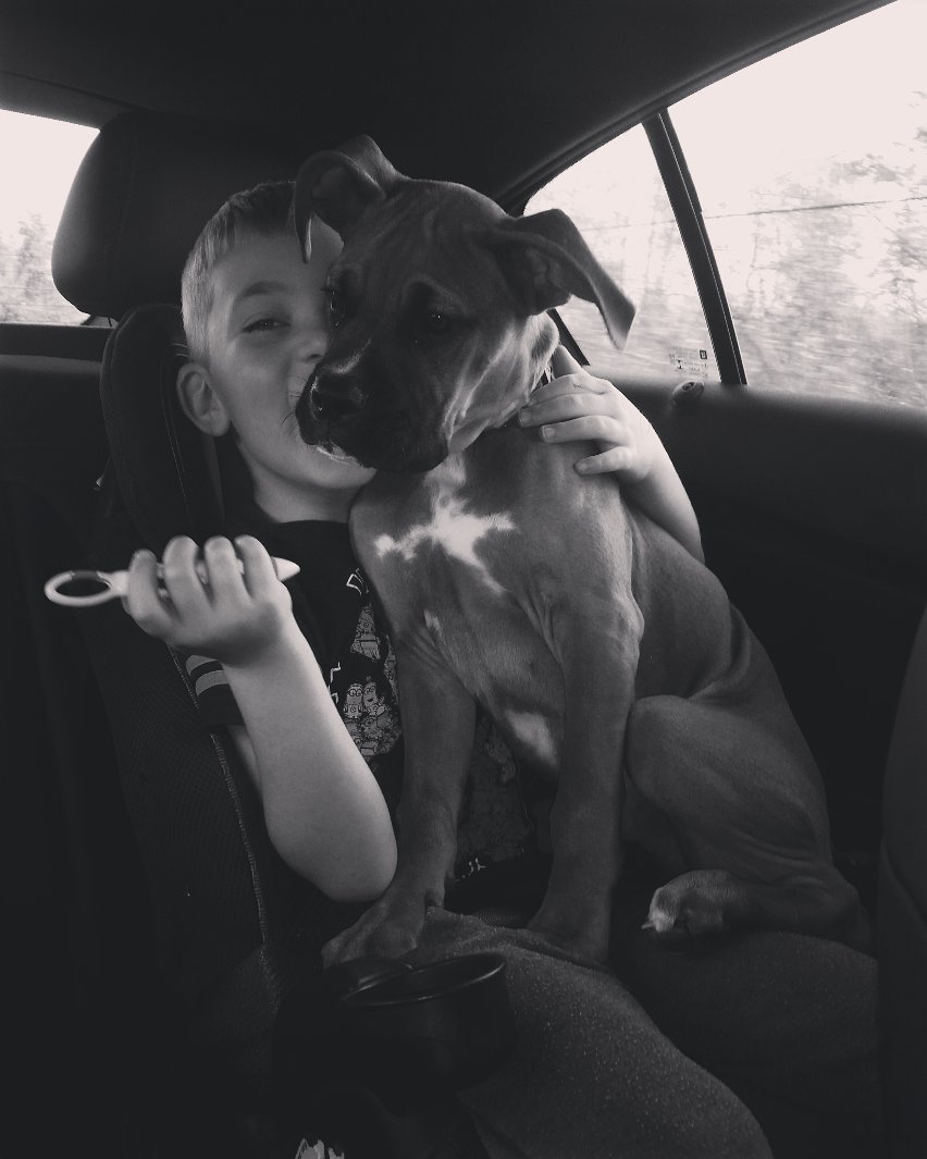 MegsMac0919's tweet photo. Just a boy &amp; his 30lb lapdog https://t.co/KwhJeX9ET0