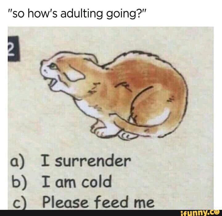 Missluitommy's tweet photo. #spicy #ifunny #featureworthy #iFunny @AnnitaYingling  https://t.co/S4V5nbXboe https://t.co/Pwhgn3ZCej