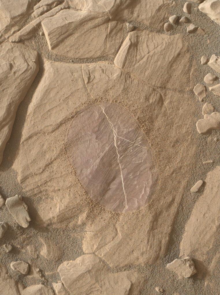 NASA's tweet image. Special camera filters on @MarsCuriosity rover allow it to see Mars' true colors. See what this purplish hue means: go.nasa.gov/2z4ixlP
