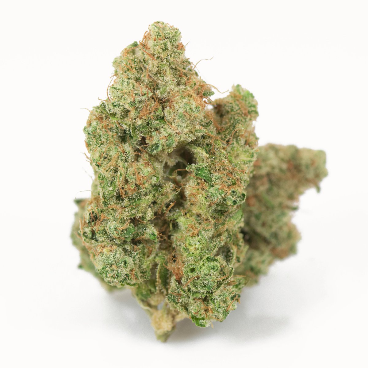 Elemental2009's tweet photo. New batch of #CBanana (26.10% #THC) from #UtopiaFarms is in! Hurry in--this #strain never lasts long! $60/4-gram 8th, WSL. https://t.co/uyrFHbNLIJ