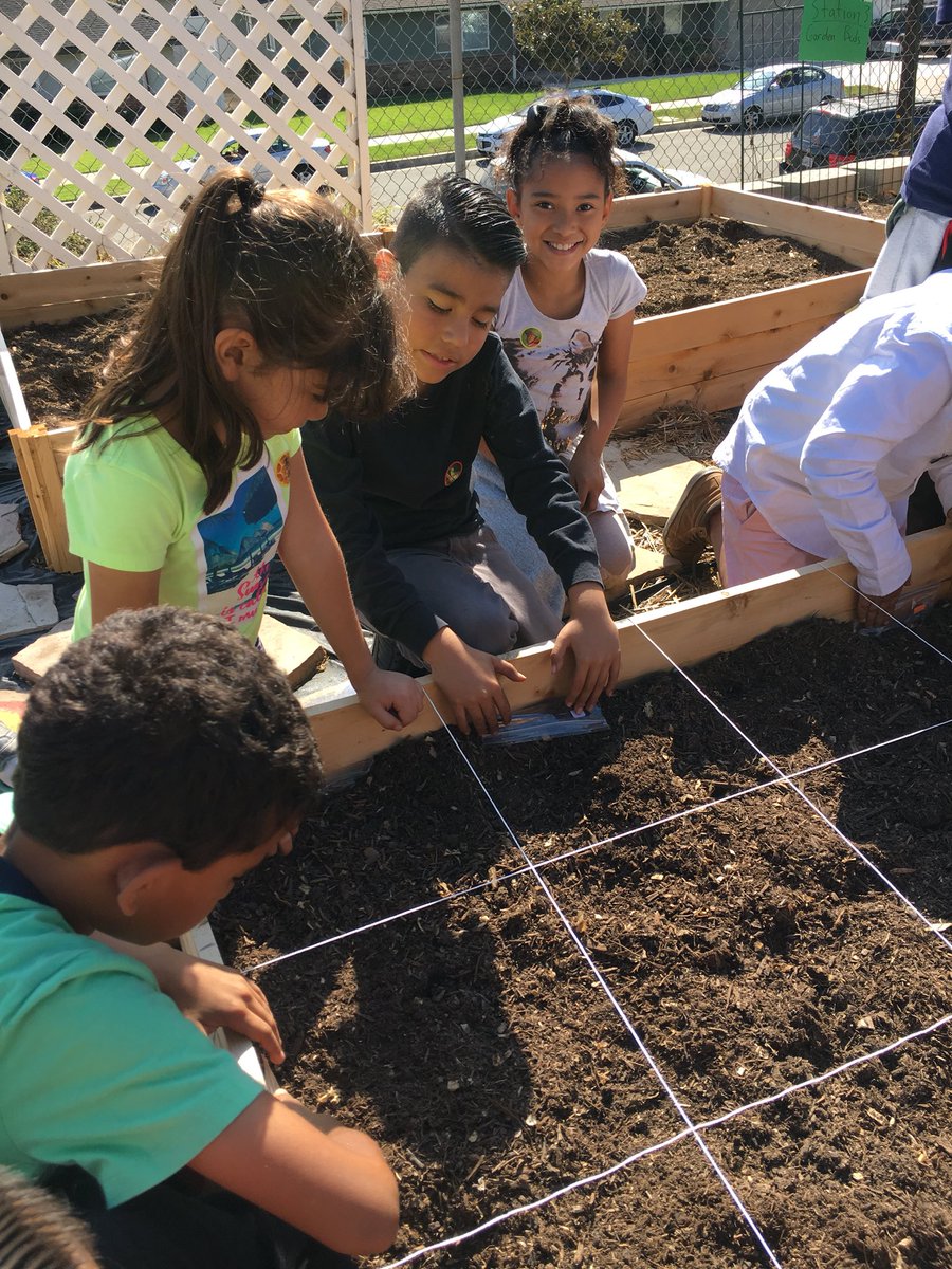 gkruip's tweet photo. “Gardening Club” planting and learning about healthy eating. https://t.co/jhpfXOniYG
