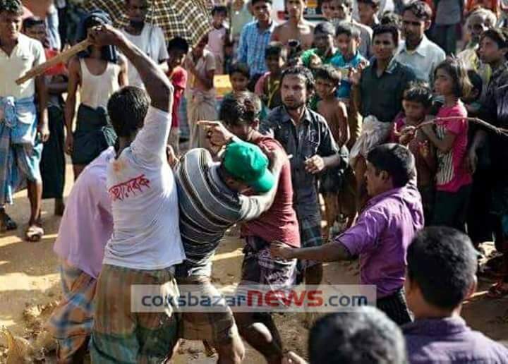 In accepting the Bengalis as a stick to bring the breed. Crocodile become