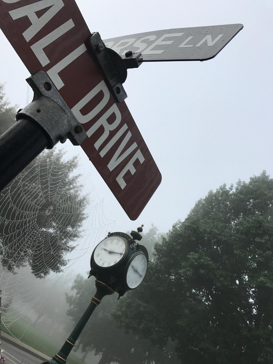 TheTriangle8's tweet image. Still in the Halloween mood? Take a look at our webpage to check out articles featured in the Halloween special, as well as online-only news