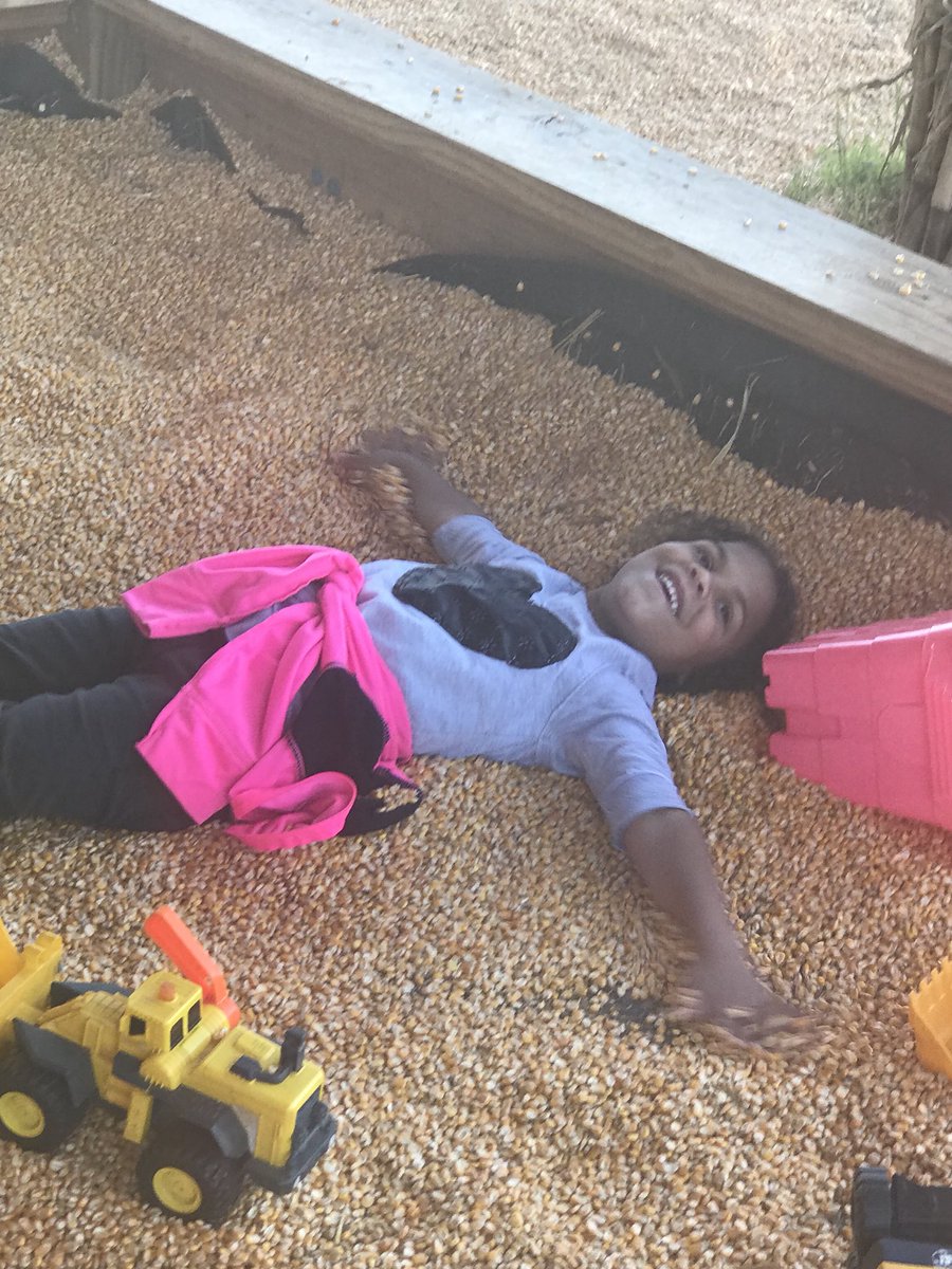 kinderteach101's tweet photo. My teacher heart is thankful for moments where students can experience new surroundings. @lafrancelions #farmlife #denverdowns #Kindergarten https://t.co/FhGpImYTrJ
