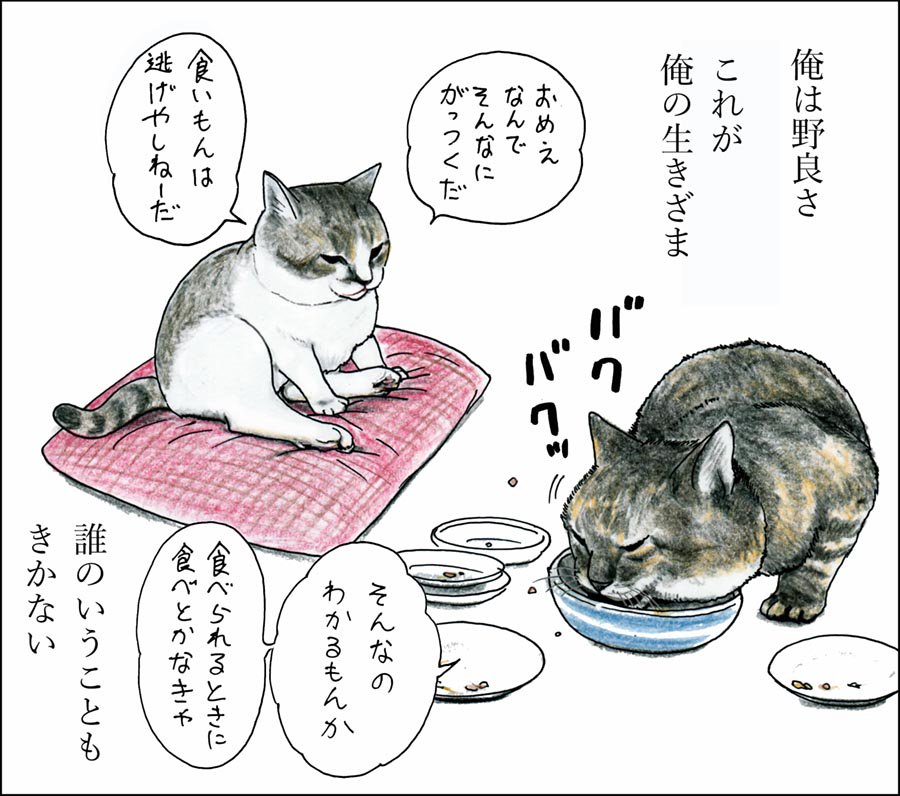 や、どうも。おじいちゃんと出会ってまもなくの頃のことをかくよ。 
