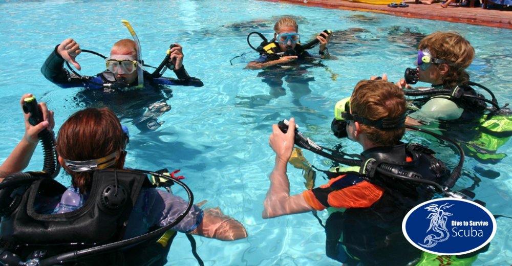 DiveToSurvive's tweet photo. Let’s Learn the Scuba Basics First

Itching for some underwater exploration?

Read More:
https://t.co/rsRi9dfN0n

#scubadiving #scubaclass https://t.co/e4mIL92JAM
