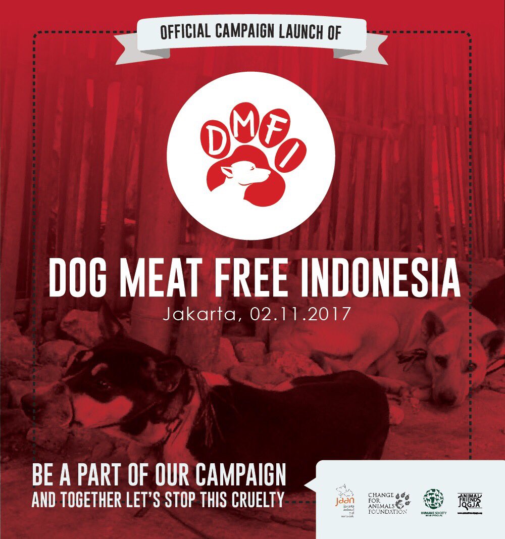 jaan_indonesia's tweet photo. Official launch of our ‘Dog Meat Free Indonesia’ campaign! Its only 1 min to make a change! PLEASE sign our now at https://t.co/3IcW9DAl18! https://t.co/nvzT1MxHVb
