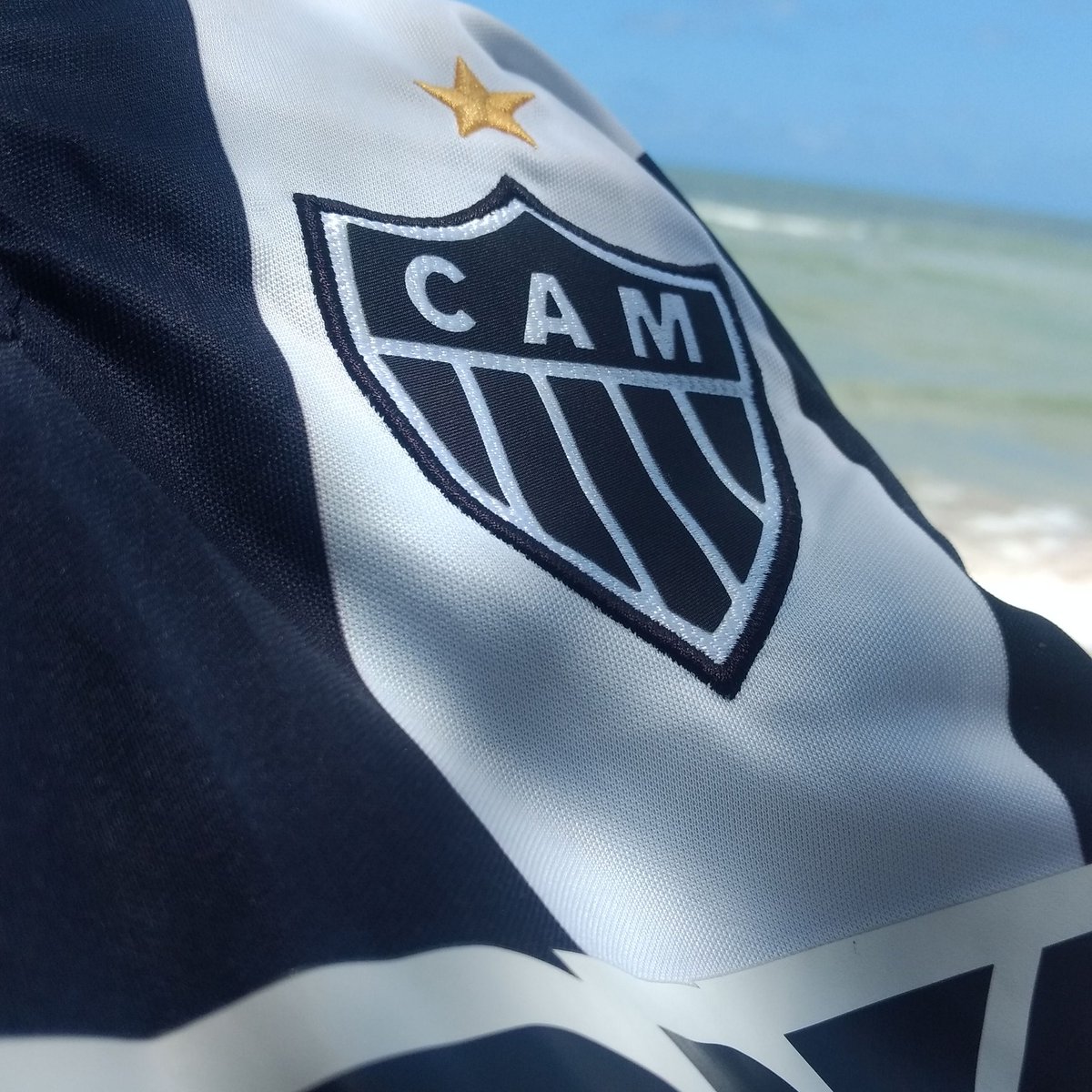 Gecinéia#Beta SDV (@gecineia1) on Twitter photo 