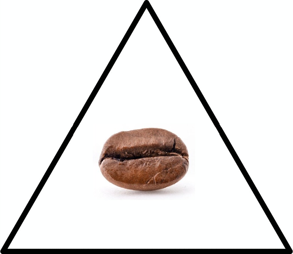 MBeanTweets's tweet photo. @LilyTwitfield Sounds like a #Beanspiracy https://t.co/nKDsfbLUFN