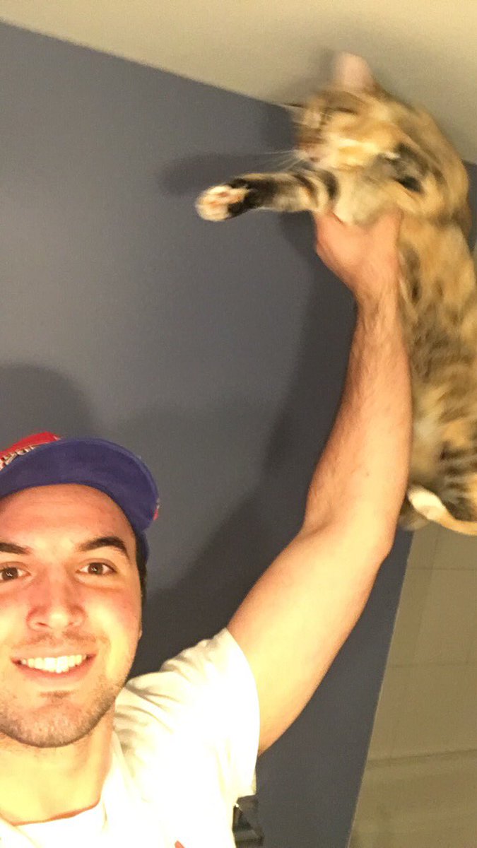 tweeter_zezzle's tweet photo. @RaiseTheCat no cats were harmed in the making of this photo. Sugar is trained to suspend herself in the air after sixers wins. #wegot4 https://t.co/7ueLZhQBhl