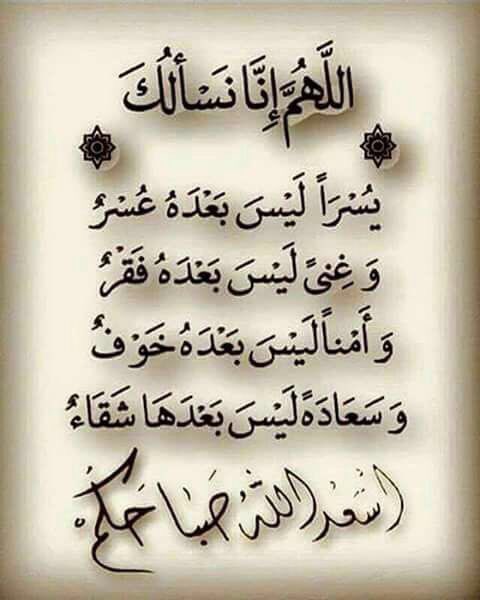 zayed699's tweet image. 