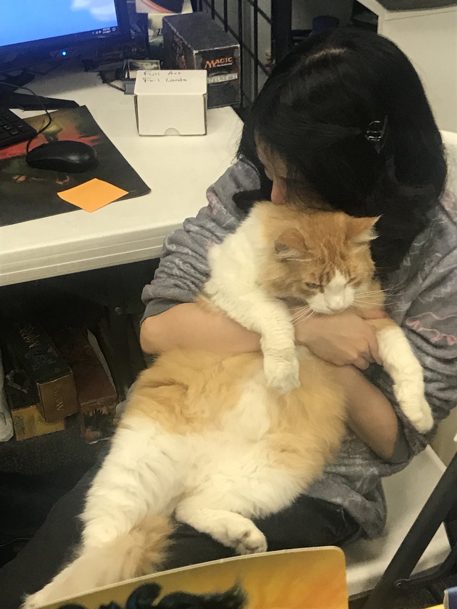 Duddlekins's tweet photo. @ShopCat_WZN shop cat and his favorite Asiatic human https://t.co/KIk9JDe40w