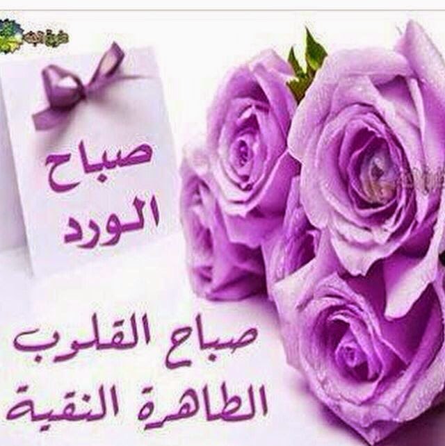 gh3999's tweet photo. _

بعيداً عن كل شيء لا تغفلوا عن
الاستغفار فهو سعادة لا تنتهي🍁

صباح الخير🌹

#الديم_للدعم
#Gp_JAWAD
#فرحة_لقى_للدعم
#مملكة_خالد_الهيلا https://t.co/hwV1dk0M54