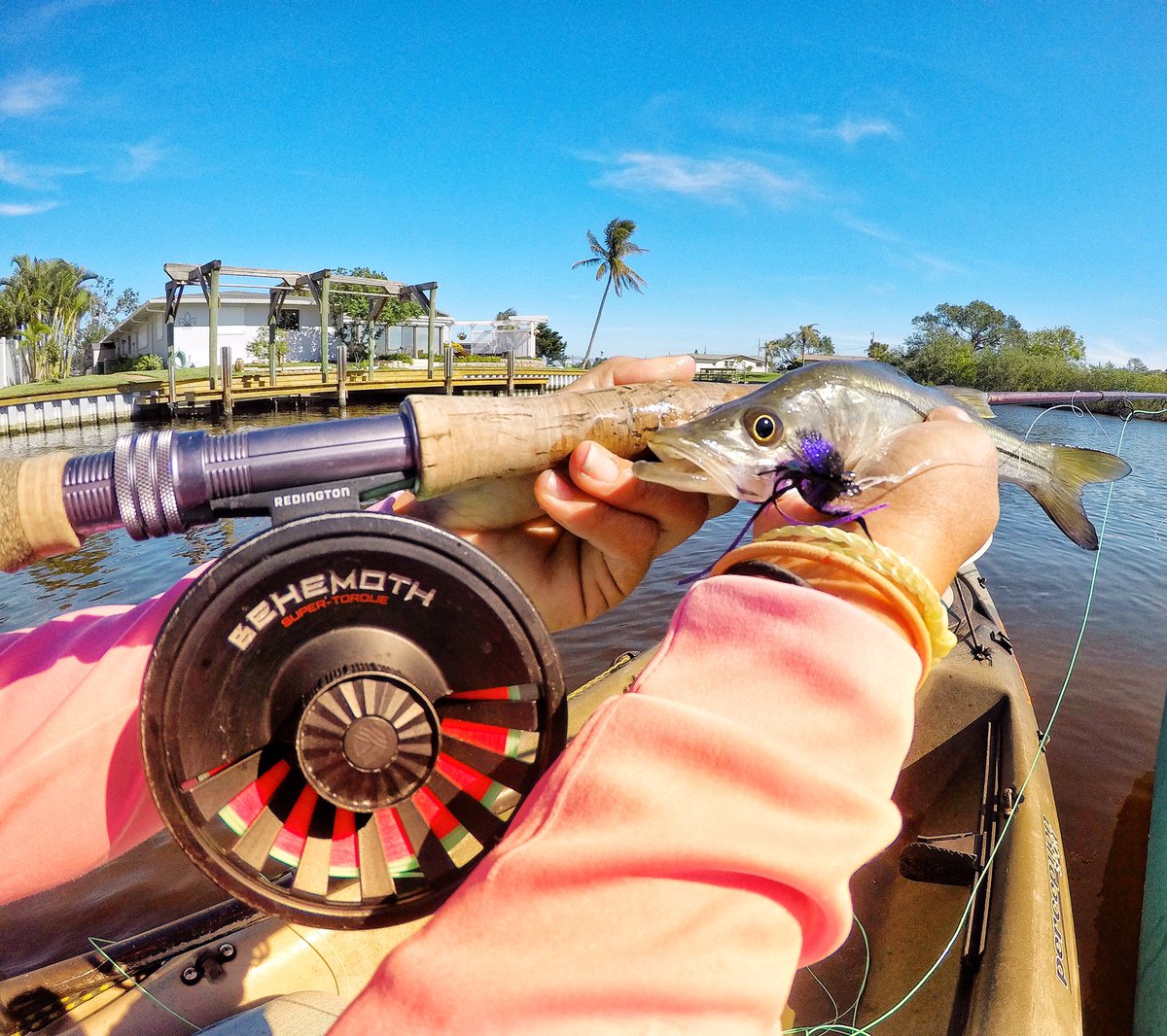 island_angler93's tweet photo. Love the #snooklets #girlswhofly #redingtongear #lovefishing #cortlandlines #flyvinesbracelet #backwaters #snook #ladyanglers https://t.co/XP5MqU61PT