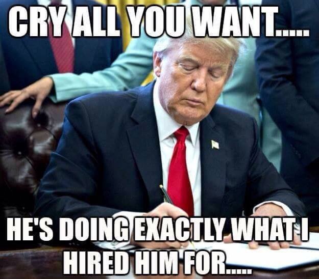 NotDoneWinning's tweet photo. I'm proud of my president. I'd vote for him again in a heartbeat.

Retweet if you agree https://t.co/Q1M5Bm0YCM