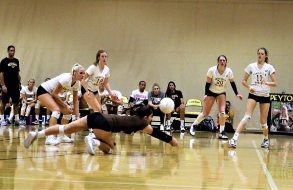 jasminehwest's tweet photo. come support TVHS varsity volleyball in ROUND 2 of CIF vs Harvard Westlake @ 7 TOMORROW!! we need a HUGE crowd!!🐻💛🏐‼️✊🏼 @TvhsUpdates https://t.co/GBMAnLll5O