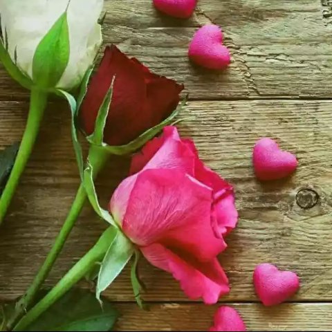 S21__0's tweet photo. 🌷وأرفع أقدارنا في الميزان⚘
وعمر آخرتنا بفسيح الجنان⚘
🌷وأكرمنا بالغفران⚘
🌷يـــــــــارب العالمين🌷
🌹صبـحكم الله بالخير🌹 https://t.co/0t3jD4lDpv
