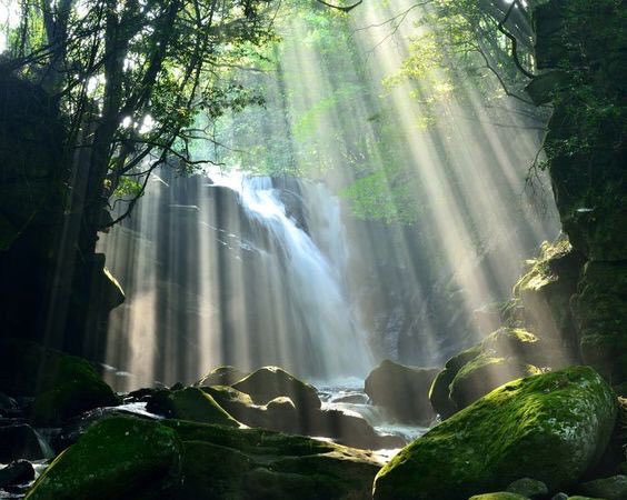 Kobus du Toit Bosman tweet media