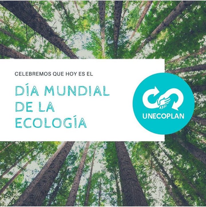 UnEcoPlan's tweet photo. Celebra con nosotros el #DiaMundialdelaEcologia transportate en bici, transporte publico o caminando y di no a las bolsas de plastico https://t.co/fJYdLlVEPe