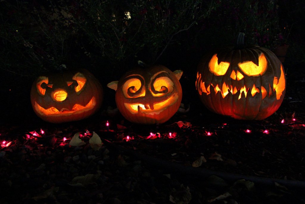 snapmammas's tweet photo. #Halloween #jackolanterns that weren't stolen! #pumpkins #carved #nightexposure #CanonEOS70D https://t.co/OEwDzDGGab https://t.co/8vPQUzW9La