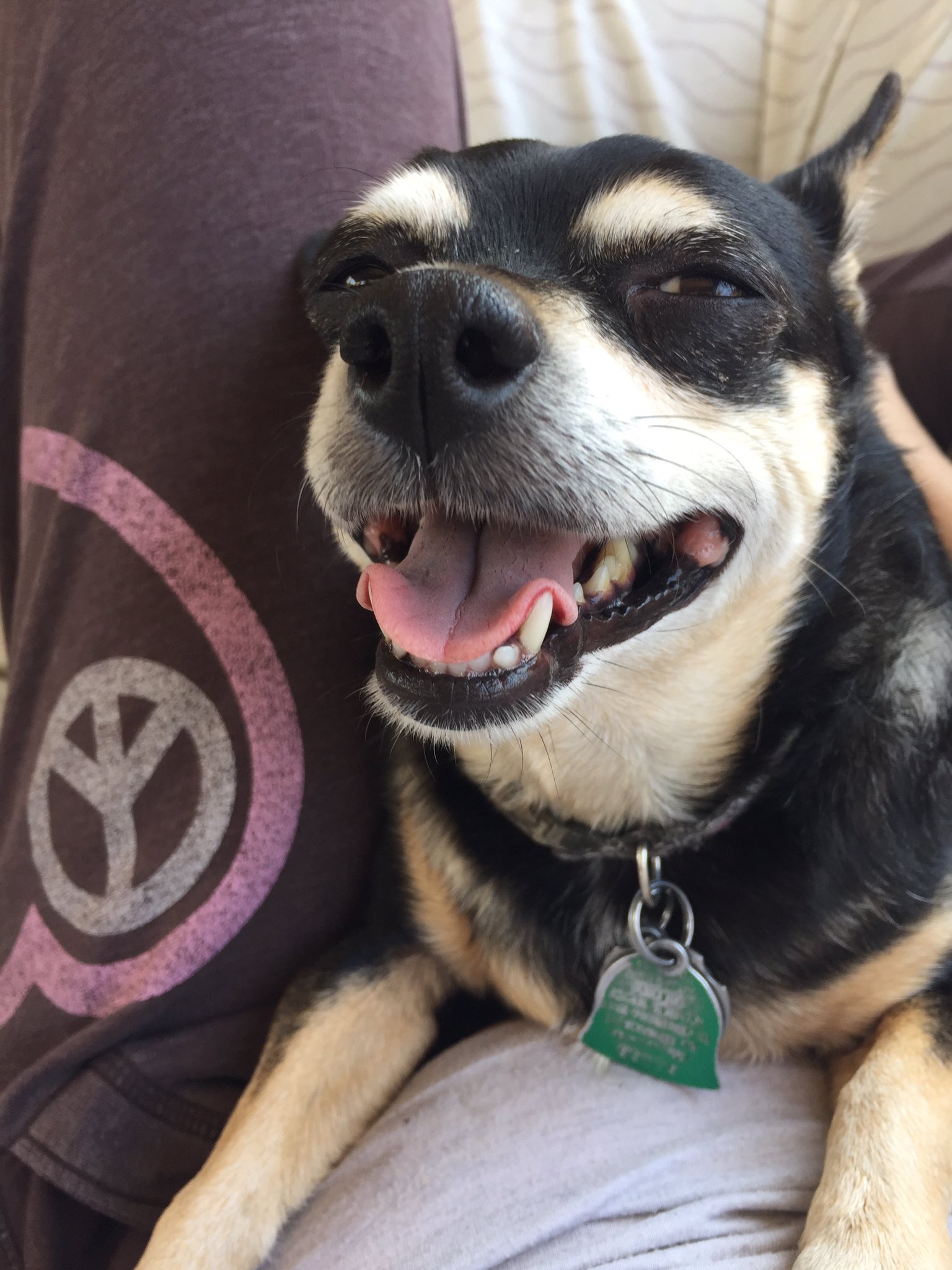 TW Pornstars - Draven Dahmer - The Pagan Priestess. Twitter