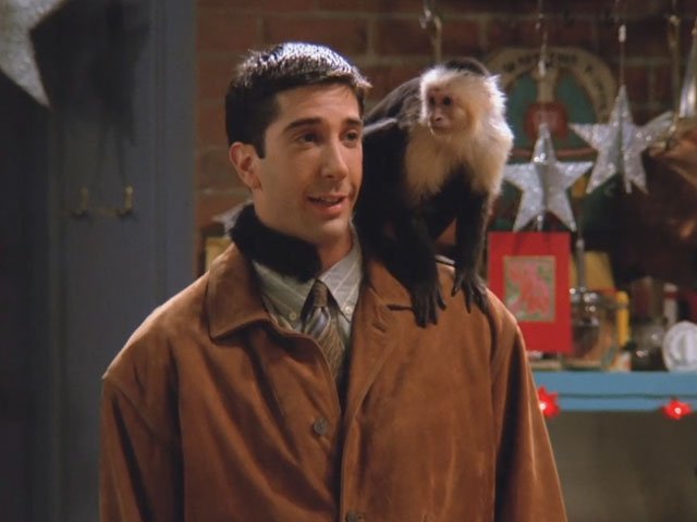 Happy Birthday to David Schwimmer who turns 51 today! 