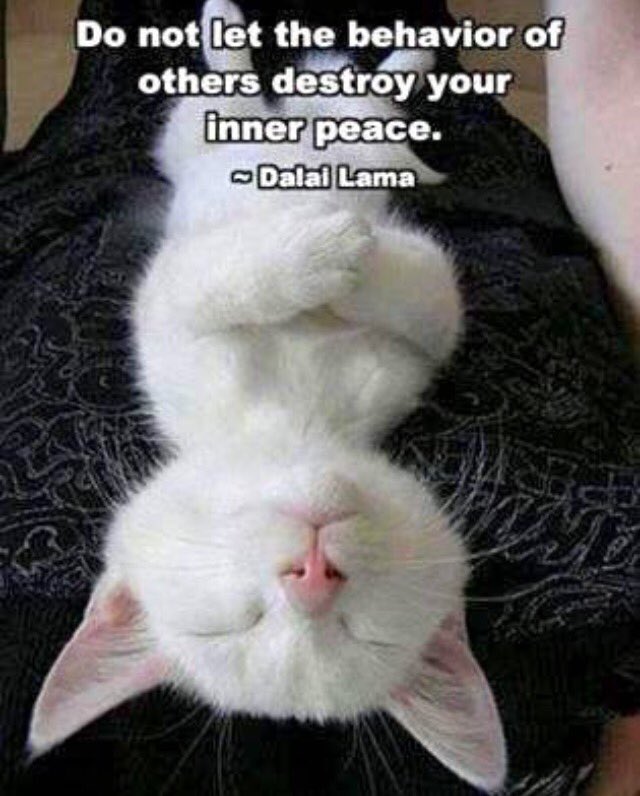 Love it!