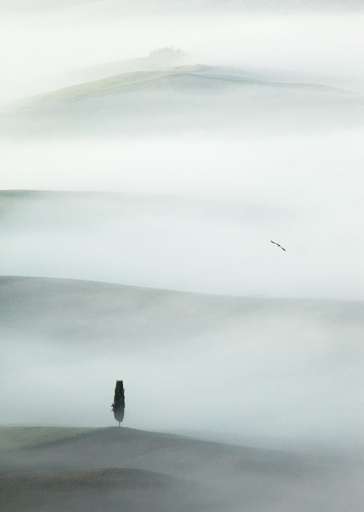 youtu.be/2Bb0k9HgQxc 
#MaxRichter 
November

©︎Vadim Balakin