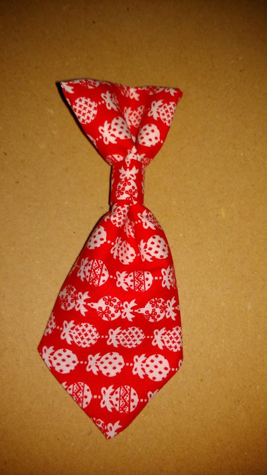 DappersForever's tweet photo. Do you like this little Christmas number? #doggo #Puppies #respectanimals #welldresseddogs #Christmas https://t.co/kkih1TI6BQ
