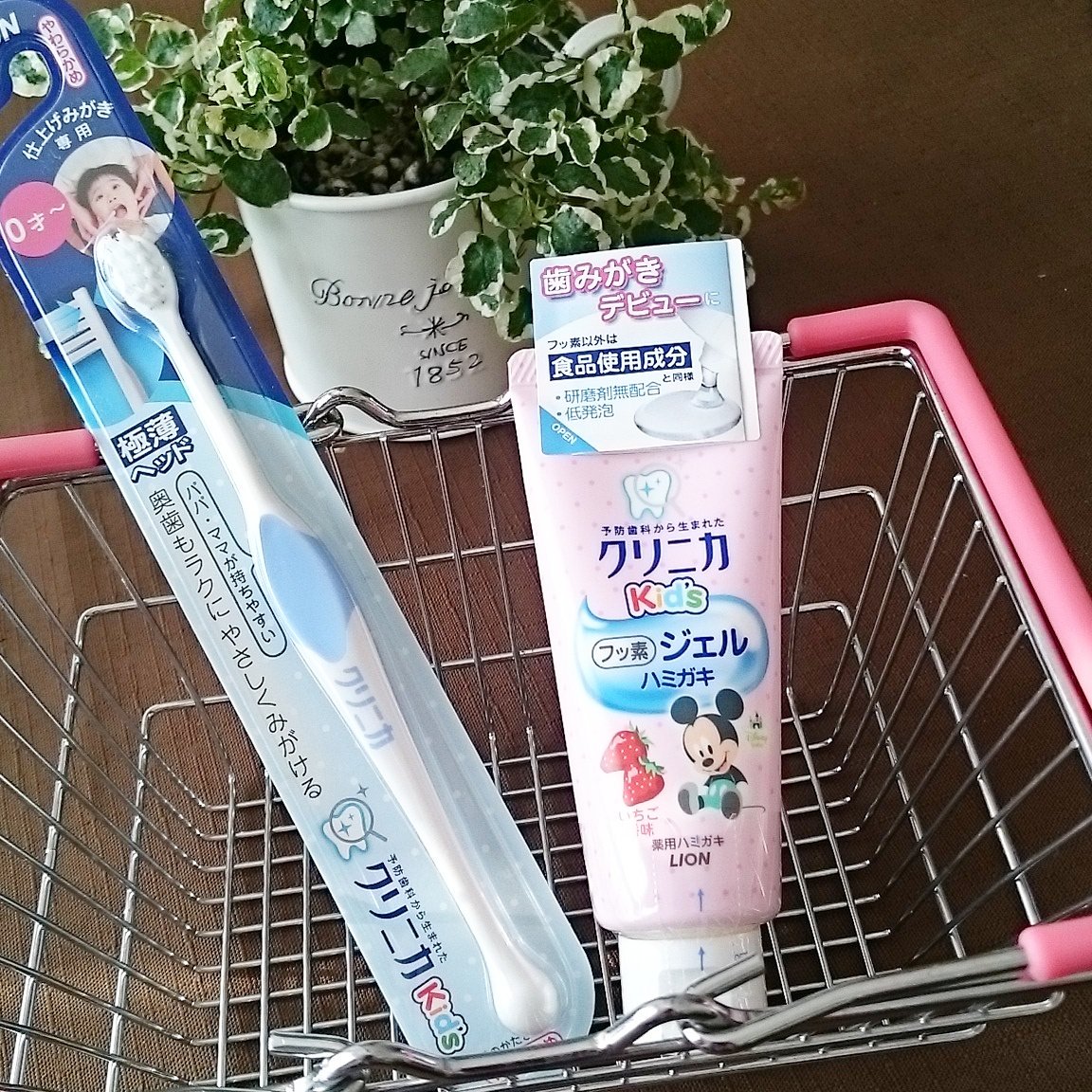 クリニカキッズ クリニカキッズ