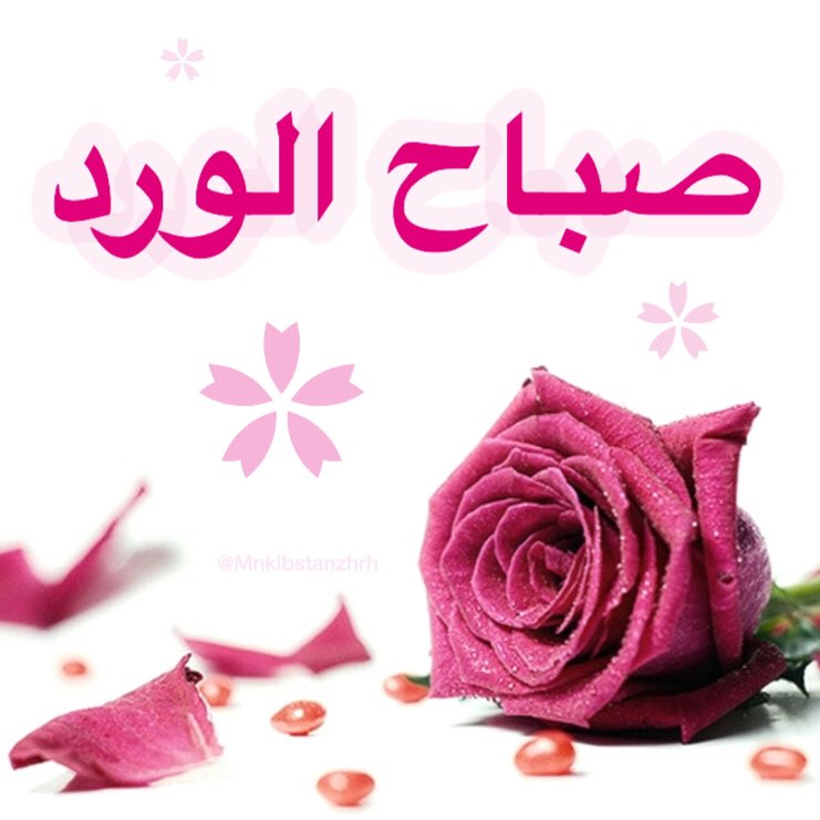 قطع مكثف مغني صبح الصباح على صوت صباح Mp3 Andiamoinvacanze Com