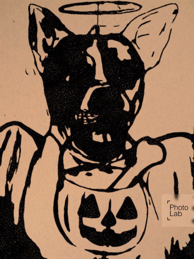 CaitsBlog's tweet image. Some late Halloween art along with edits :D