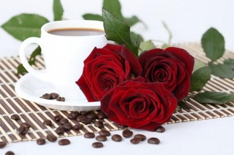 CGagaha's tweet photo. Guten Morgen 
An alle Freunde. https://t.co/rnHxR7K8cw