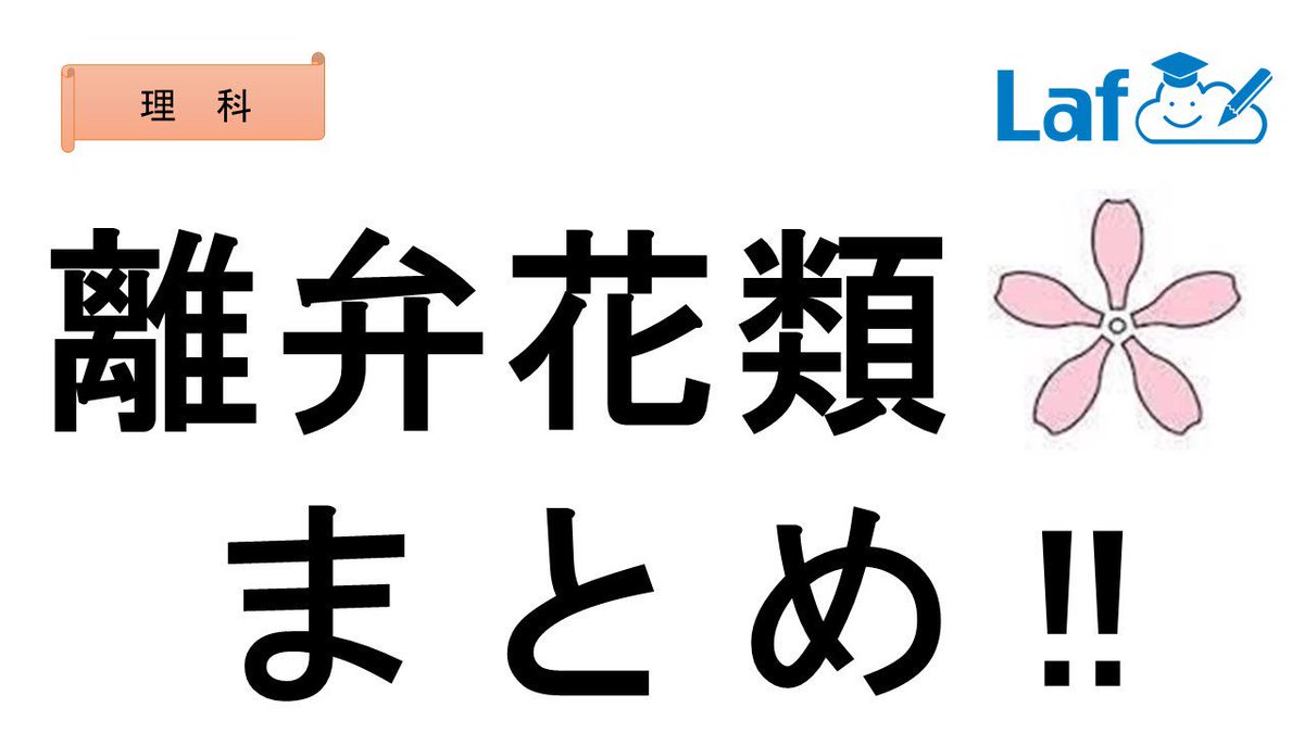 押川 隼也 高校 大学受験対策 V Twitter 中1理科 離弁花類 離弁花類でテストによく出る エンドウ サクラ アブラナ を効率よく覚えよう 遠藤さくらの危ないリベンジ 遠藤 エンドウ さくらの サクラ 危ない アブラナ リベンジ 離弁花類