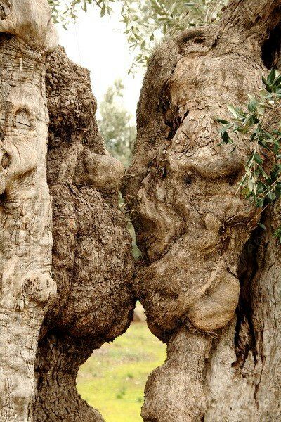 Anche la natura cerca amore...