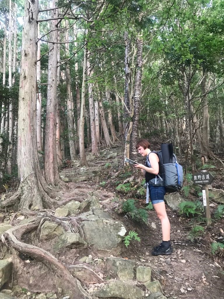 TheGoldInYou's tweet photo. @mytravelbugs @LPtravelnews We loved trekking the #PilgrimRoute in Japan. https://t.co/THt4FuFNP6