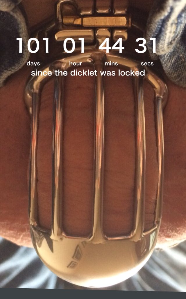 subcidence's tweet photo. Your a cruel bunch #locktober #NOvember #Chastity #orgasmcontrol #teaseanddenial https://t.co/89JS5gTXAF