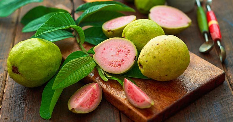 BenefitsUses's tweet photo. 11 Health Benefits of Eating Guava #fruits #benefitsofprunes #caloriesinprunes #plumfruit
https://t.co/gkZvrZaXjQ https://t.co/Bc5nfoCa6k